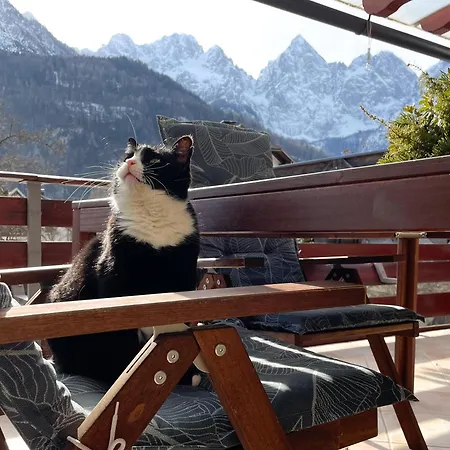 Apartma Felix * Kranjska Gora