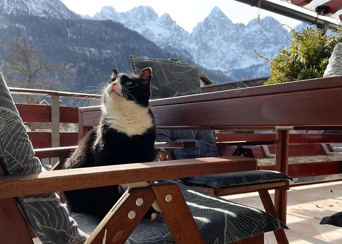 Apartma Felix * Kranjska Gora